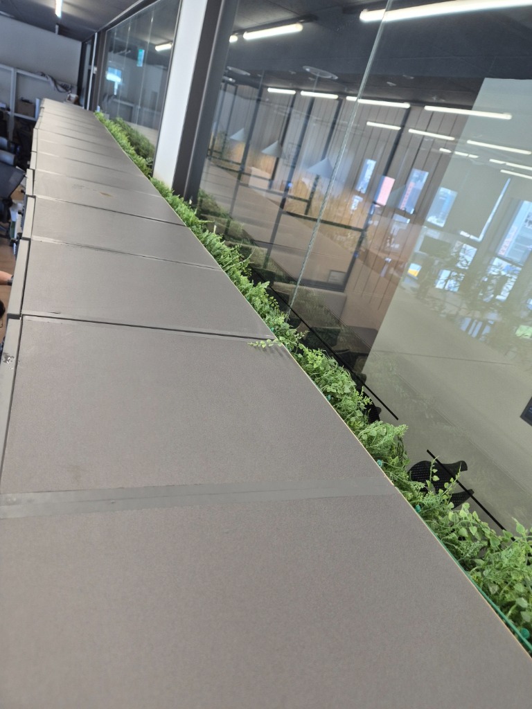 청소사례 2